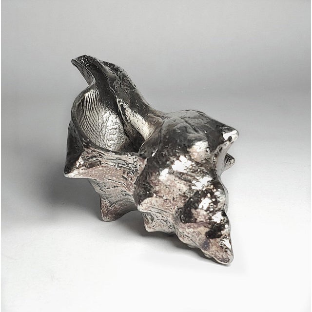 Real Shell Seashell Silver Alloy Dipped For Sale In Miami - Image 6 of 8