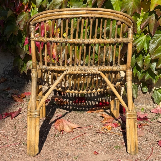 1950s Vintage French Rattan Armchair, 1950s For Sale - Image 5 of 6