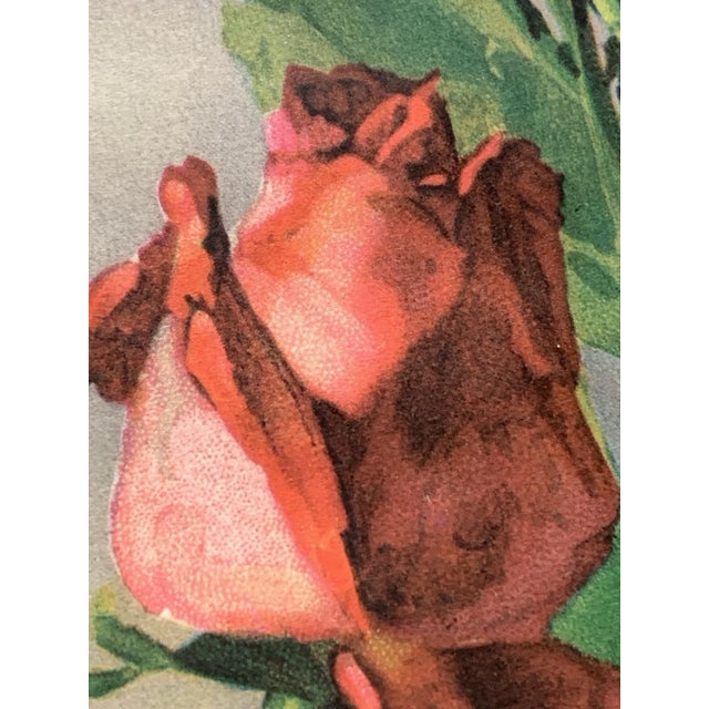 Mid 20th Century Vintage Catherine Klein Framed Lithograph Roses For Sale - Image 5 of 12