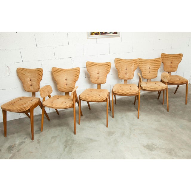 Chairs and Lounge Armchairs attributed to Roger Landault for ABC, 1950s, Set of 6 For Sale - Image 3 of 18