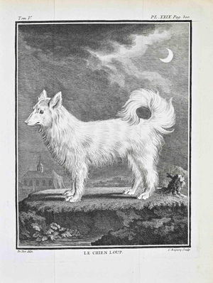 Jacques de Seve, Le Chien Loup, Etching, 1771