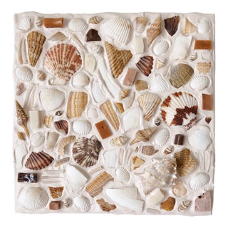 "Amber Is the Color of Your Energy" Shell Artwork For Sale