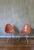 Vintage Mid Century Fiberglass Shell Chairs by Fingerhut - a Pair For Sale - Image 11 of 11
