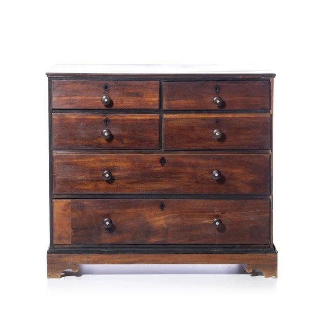 19th Century Queen Maria Chest of Drawers in Vinhatico Wood For Sale - Image 6 of 6
