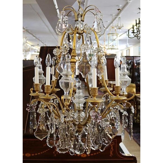 19thc XL Majestic French Louis XV Versailles Gilt Bronze Chandelier Attributed Maison Bagues For Sale - Image 12 of 15