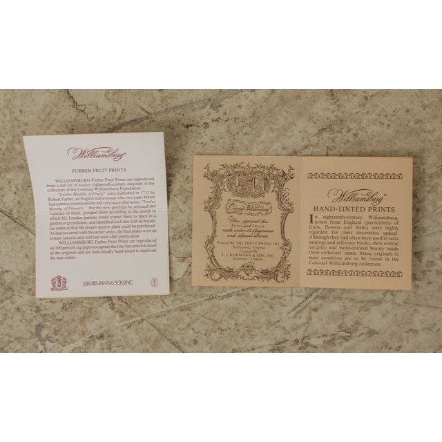 Colonial Williamsburg Dietz Press Botanical Print December Chairish
