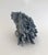 Natural Blue Coral Specimen Coastal Decor For Sale - Image 4 of 7