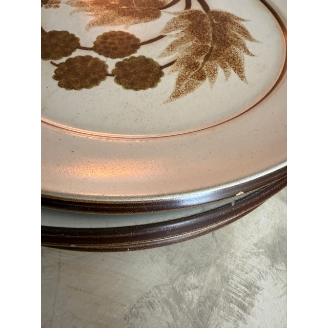 English Set of Four (4) Denby Greenwheat Dinner Plates 9.75 Inches | Made in England Vintage Stoneware For Sale - Image 3 of 9