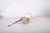 Metal Bronze Fist Wall Sconce with Amber Glass Shade in the style of Maison Jansen, 1950s For Sale - Image 7 of 9
