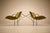Designed by Carlo Hauner (1927–1997), this refined pair of Brazilian Modern armchairs embodies the designer's disciplined...