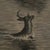 American Rare Find 1884 “ No Chance for Life” by Arthur Burnett Frost Original Pencil & Charcoal Drawing For Sale - Image 3 of 9