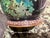 Hayashi Tanigoro Japanese Cloisonne Vase For Sale - Image 11 of 12