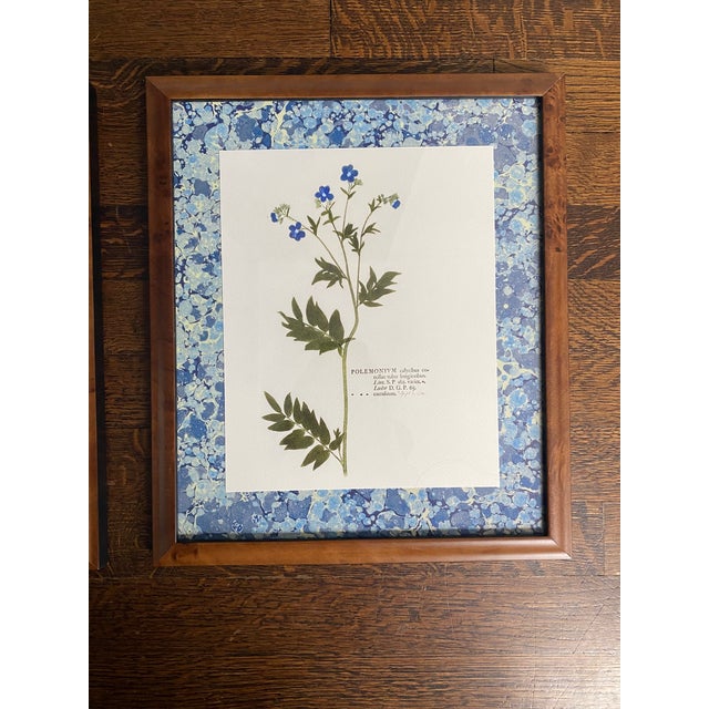 Reproduction Pressed Flower Botanical Prints - Custom Burlwood Frames - Set of 2 For Sale - Image 4 of 8