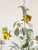 1950s Vintage Italian Tole Painted Floral Chandelier For Sale - Image 5 of 12