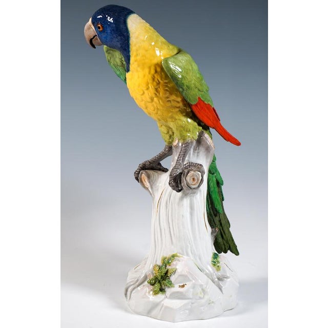 Large Parrot on a Tree Trunk by J.J. Kaendler for Meissen, 1860 For Sale - Image 6 of 9