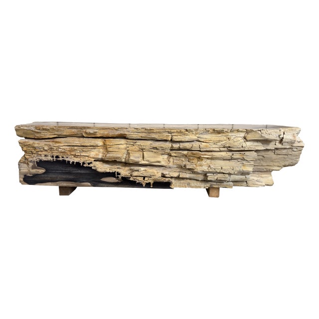 Petrified Wood Bench by Xyleia Petrified Wood For Sale
