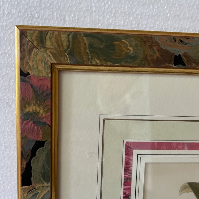 Hand Colored Botanical Art Circa 1940 For Sale - Image 10 of 12