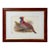 John Gould & Henry Constantine Richter Birds of Asia Temminck's Tragopan Print For Sale