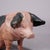 1930s Swabian Hallic Country Pig Made of Terracotta A vintage statue of a Swabian hallic country pig. It was used as shop...