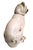 Cream Antique Pair of Staffordshire Pug Dogs For Sale - Image 8 of 17