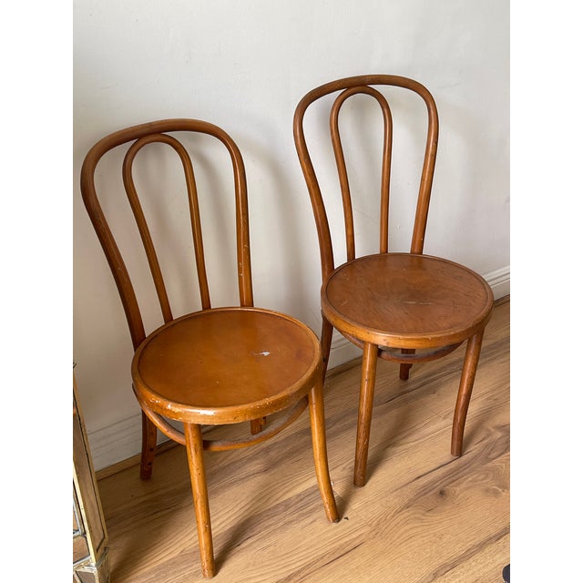 Pair Vintage Thonet Style Bent Wood Chairs For Sale In Miami - Image 6 of 6