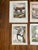 Set of Eight Authentic 19th Century Buffon Color Engravings of Different Monkeys. For Sale In West Palm - Image 6 of 7