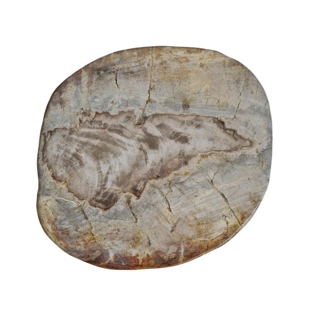 Vintage Petrified Stump Stool Side Table For Sale In Los Angeles - Image 6 of 6