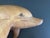 Wood Vintage Wood Carving Duo Dolphin Sculpture For Sale - Image 7 of 12