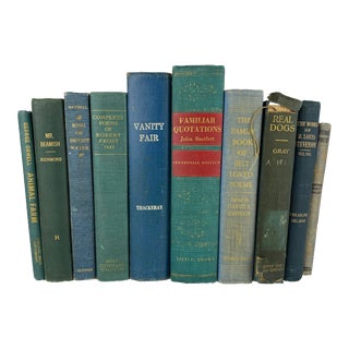 Vintage Set of Green and Blue Books - 10 Pieces For Sale