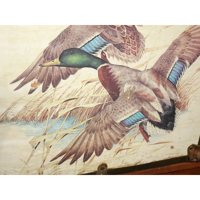 Wood Vintage 16" High Mid Century Modern Storage Box ~ Record Holder Box W Duck Birds For Sale - Image 7 of 12