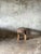 Brutalist Bench in Blond Asian Teak For Sale - Image 18 of 18