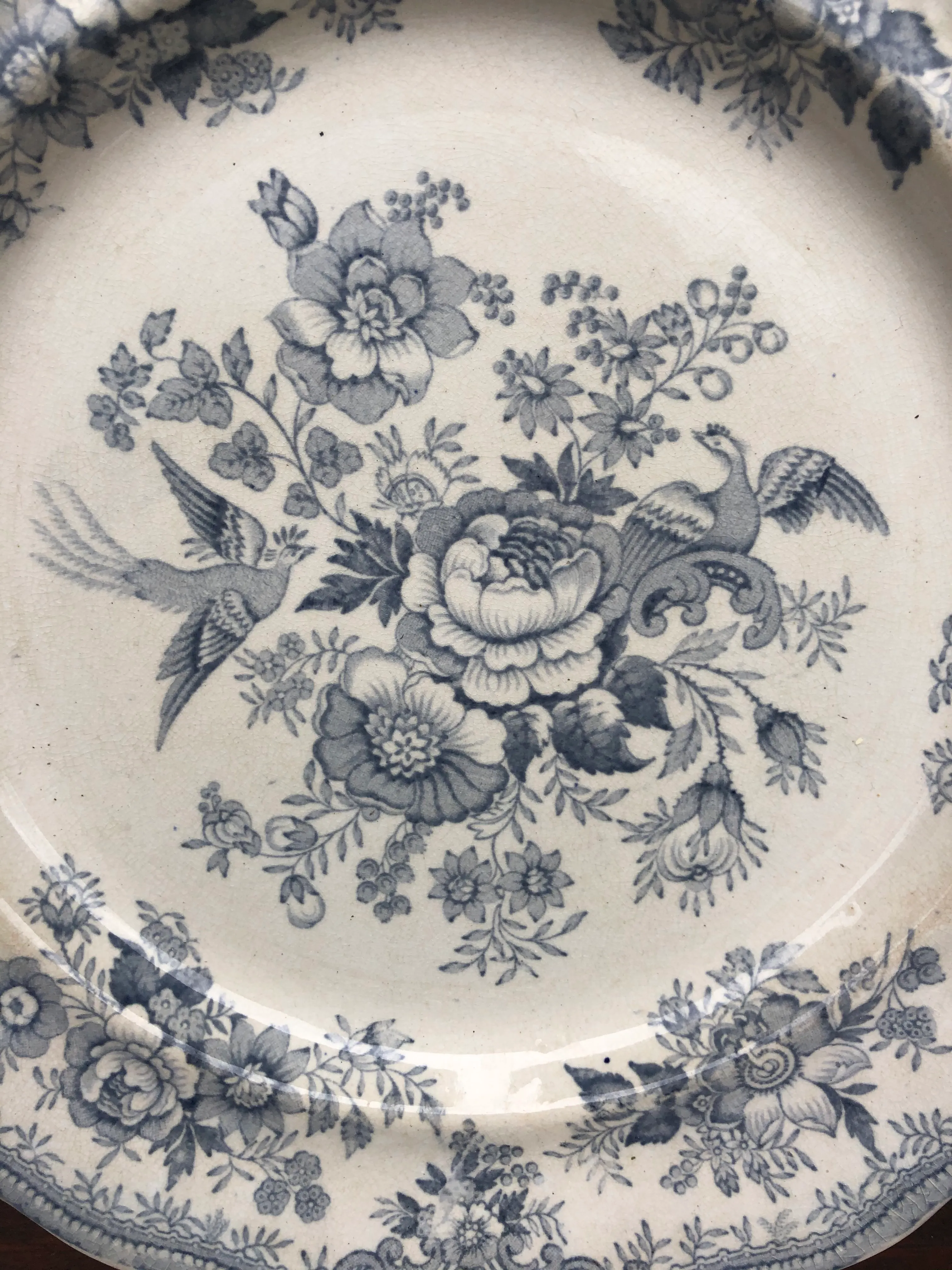 Green Asiatic Pheasants Plate 約22.5センチ４枚 Burleigh Green Asiatic Pheasants Plate 12cm | eBay