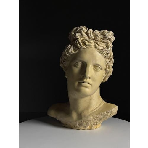 Apollo Bust in Concrete For Sale - Image 10 of 12
