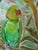 Green Parrot- Original Oil on Cradled Board by Julie Magardino For Sale - Image 4 of 4