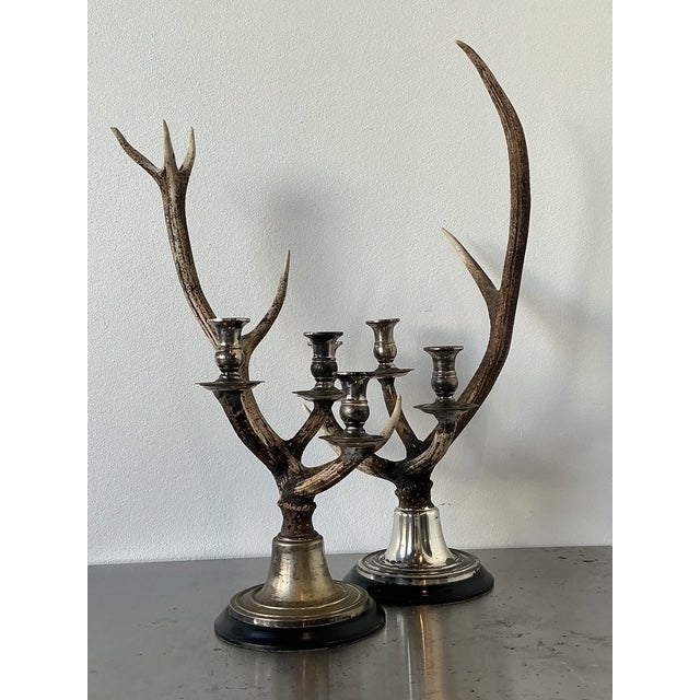 Vintage Natural Deer Antler Candlesticks - A Pair For Sale - Image 4 of 12