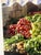 Israel Fruit and Vegetable Market Stand Photograph, Framed For Sale - Image 10 of 12