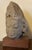 Antique 10th / 11th Century Buff Sandstone Carving - Head or Bust of a Deity - Buddha or a Bodhisattva For Sale In New York - Image 6 of 15