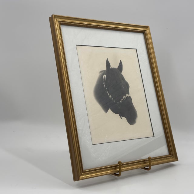 Vintage Black and White Western Equestrian Horse Portrait Photograph For Sale - Image 4 of 8