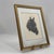 Vintage Black and White Western Equestrian Horse Portrait Photograph For Sale - Image 4 of 8