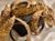 French Rare 19th Century Ornate French Gilt Bronze Acanthus Leaf Curtain Rings Set For Sale - Image 3 of 6