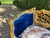Late 20thC French Louis XVI Blue Velvet Antique Gold Beech Settee For Sale - Image 9 of 14