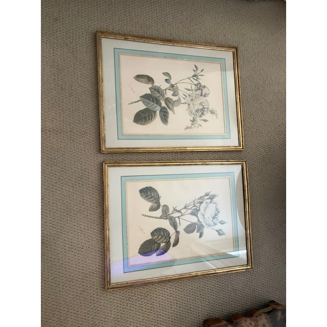 1930s Pierre-Joseph Redoute Botanical Florals - Pair For Sale In Dallas - Image 6 of 9