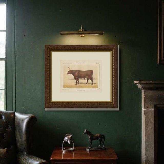 Paper Olivier De Penne, Devon Ox, British Cattle, 1863, Chromolithograph For Sale - Image 7 of 9