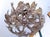 Brown 1990s Extremely Large Baronial Hunting Lodge Style Moose Antler Horn Chandelier For Sale - Image 8 of 11