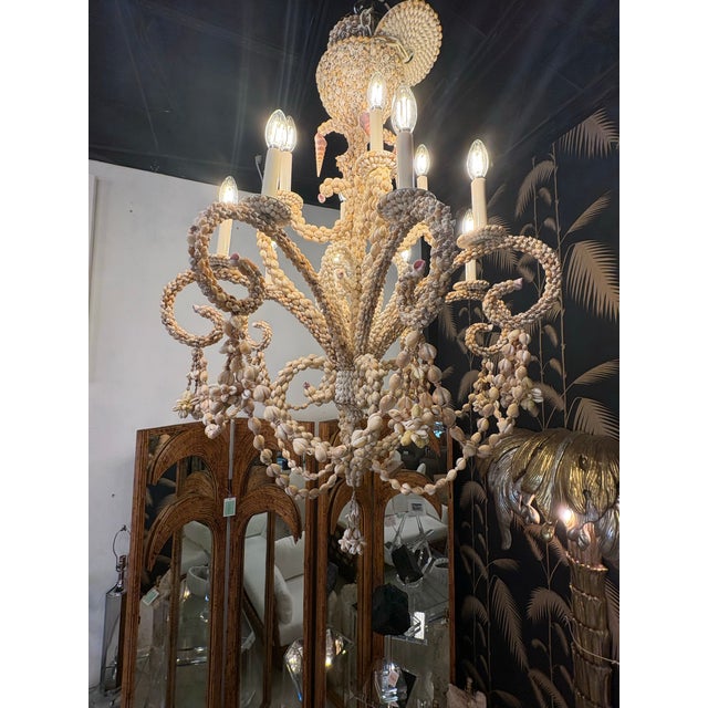 Vintage Coastal Shell Seashell Encrusted Coastal Palm Beach 12 Light Chandelier For Sale - Image 9 of 12