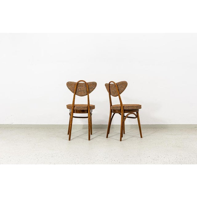 Model No. 124 Chairs attributed to Helena & Jerzy Kurmanowicz, Poland, 1960s, Set of 6 For Sale - Image 6 of 18