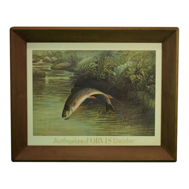 Authorized Orvis Dealer Leaping Trout Colour- Plate by s.a Kilbourne 1878, Framed For Sale