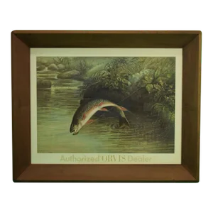 Authorized Orvis Dealer Leaping Trout Colour- Plate by s.a Kilbourne 1878, Framed