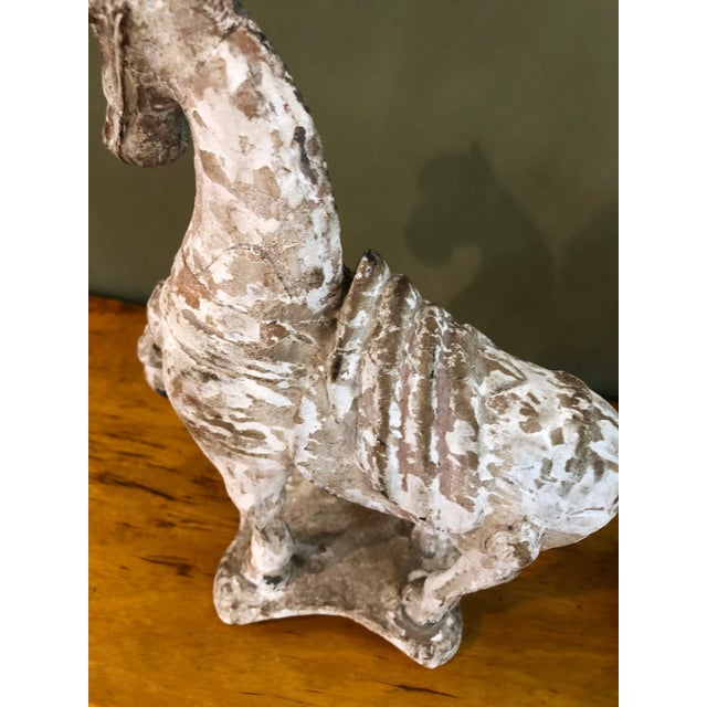 1900 - 1909 Chinese Tang Horses - a Pair For Sale - Image 5 of 11