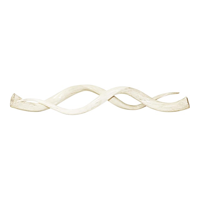 African Kudu Large Horn - a Pair For Sale